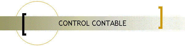 CONTROL CONTABLE
